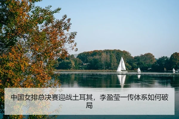 zhong-guo-nv-pai-zong-jue-sai-ying-zhan-tu-er-qi-li-ying-ying-yi-chuan-ti-xi-ru-he-po-ju-3-102.jpg