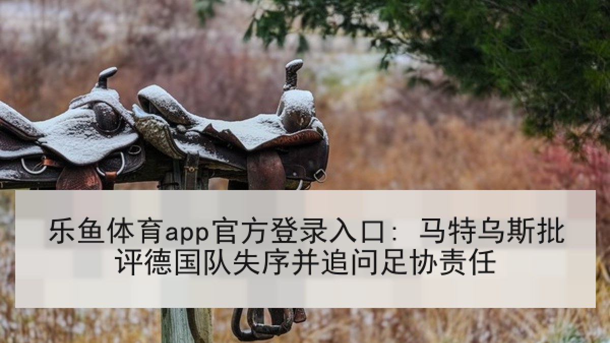 乐鱼体育app官方登录入口: 马特乌斯批评德国队失序并追问足协责任