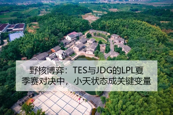 野核博弈：TES与JDG的LPL夏季赛对决中，小天状态成关键变量