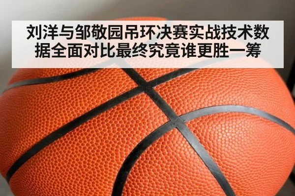 刘洋与邹敬园吊环决赛实战技术数据全面对比最终究竟谁更胜一筹